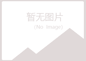 铁岭夏日金属有限公司